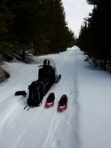 Man seated on snowmobile